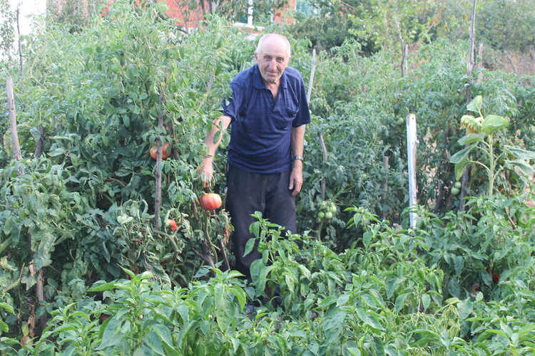Бай Мехмед от Македонци: Пчеларството е най-голямата страст в живота ми