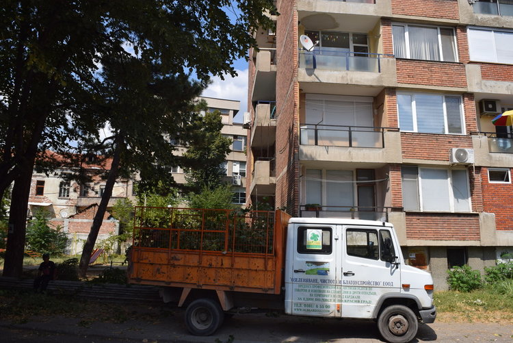   Подписки от кърджалийци за кастрене на дървета  искат от общината