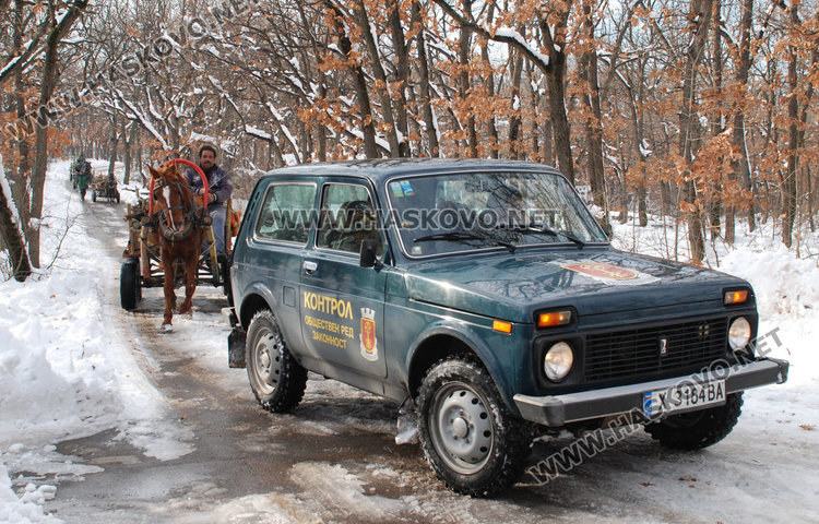 Опашки за скъпи дърва в Хасково, правят списъци с чакащи