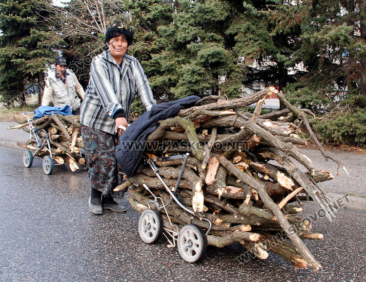 Опашки за скъпи дърва в Хасково, правят списъци с чакащи