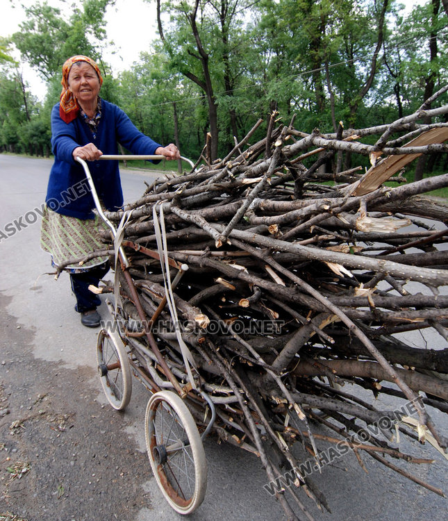 Опашки за скъпи дърва в Хасково, правят списъци с чакащи
