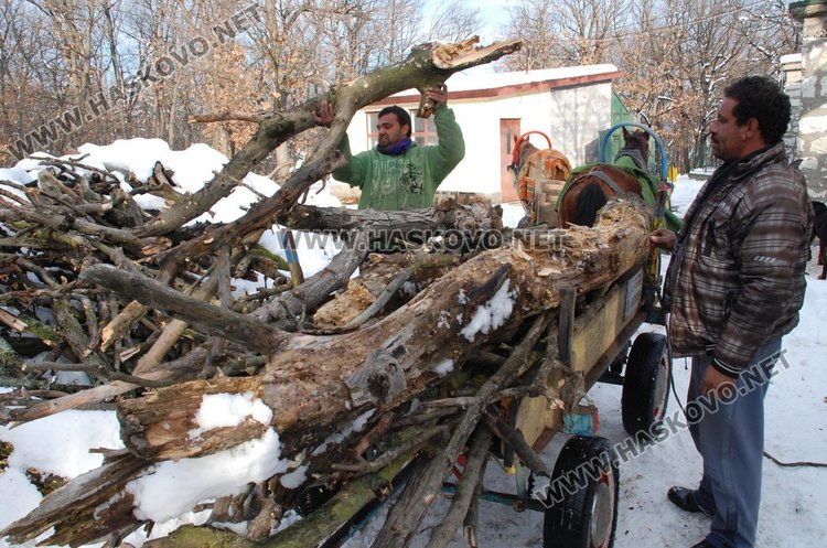 Опашки за скъпи дърва в Хасково, правят списъци с чакащи