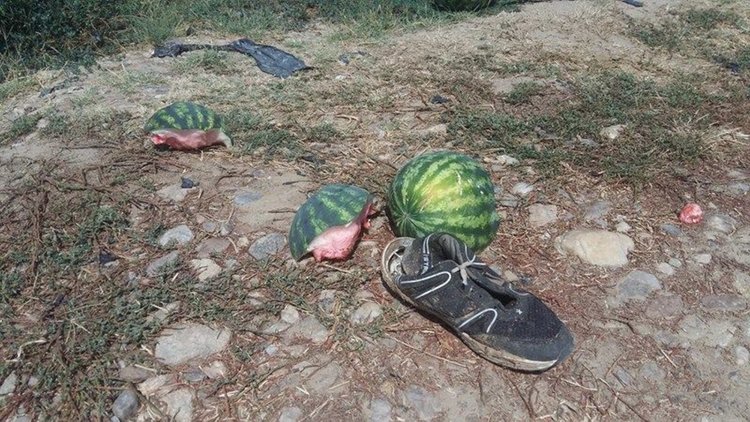 България буферна зона за мигрантите? Харманли ще е клоаката 