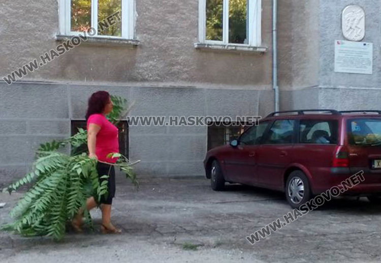 Училищна шефка прекопава градинки и чисти двора на Спортното