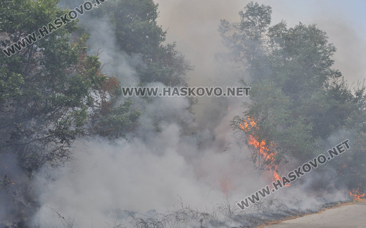Пожарът в Сакар се разраства на 3 фронта, обхвана 10 000 дка