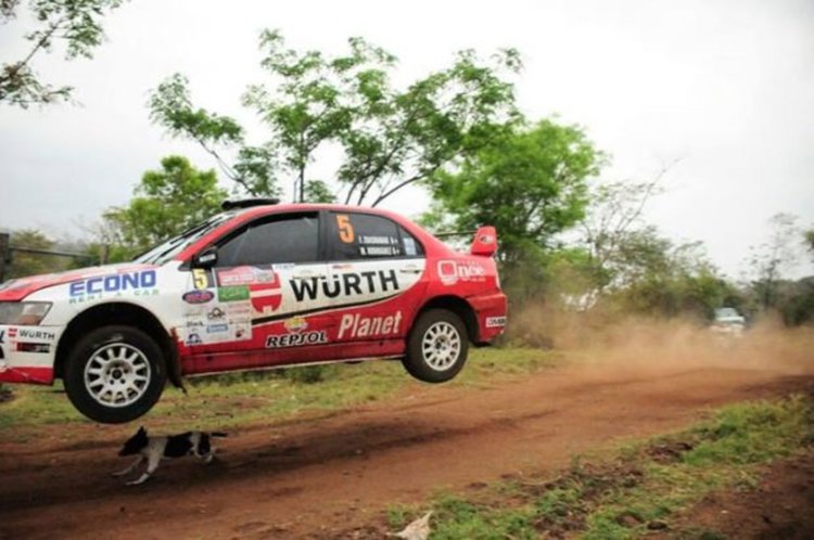 Куче с невероятен късмет! (видео)