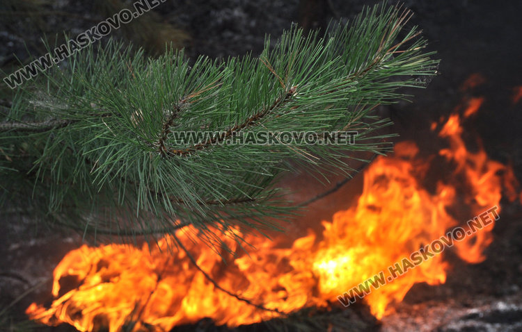 Трима задържани за пожара край Българска поляна, 50  евакуирани