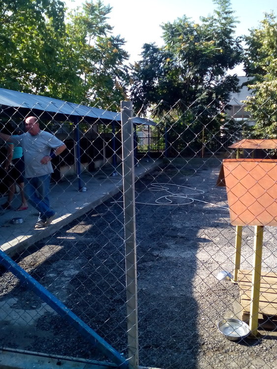 Община Кърджали опровергава твърдения за кучешкия приют