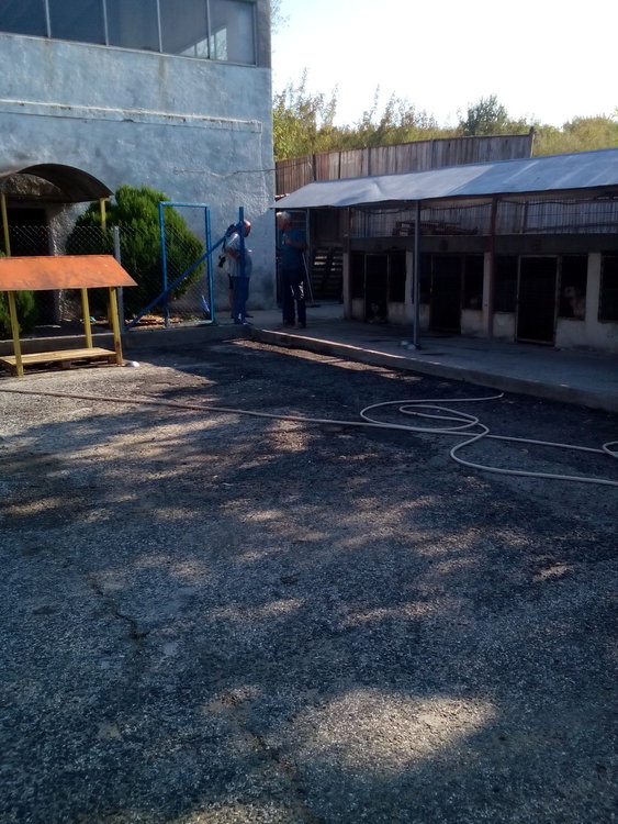 Община Кърджали опровергава твърдения за кучешкия приют