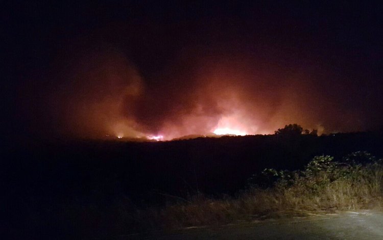 Трима задържани за пожара край Българска поляна, 50  евакуирани