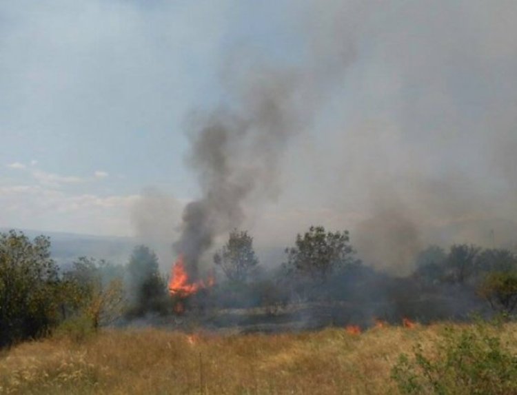 Екстремален индекс за пожароопасност в 4 области на страната  