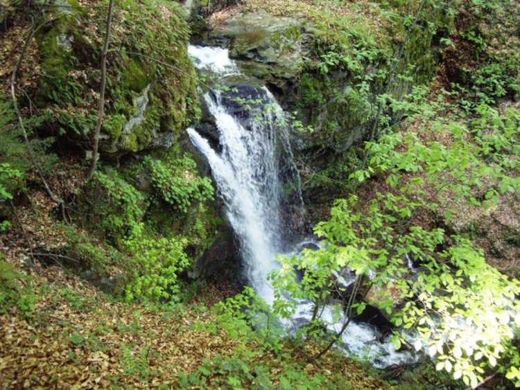 Спасиха младеж, паднал от 30 метра край Дяволските водопади