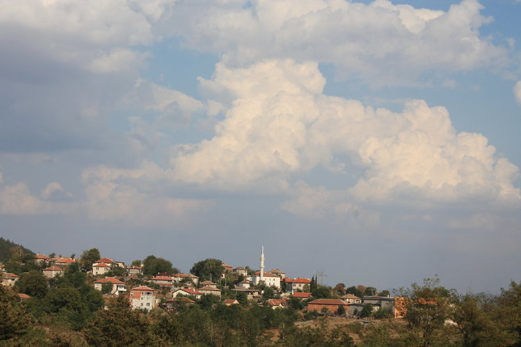 Поп-фолк звездата Ерик пее за бойновци на 13 септември
