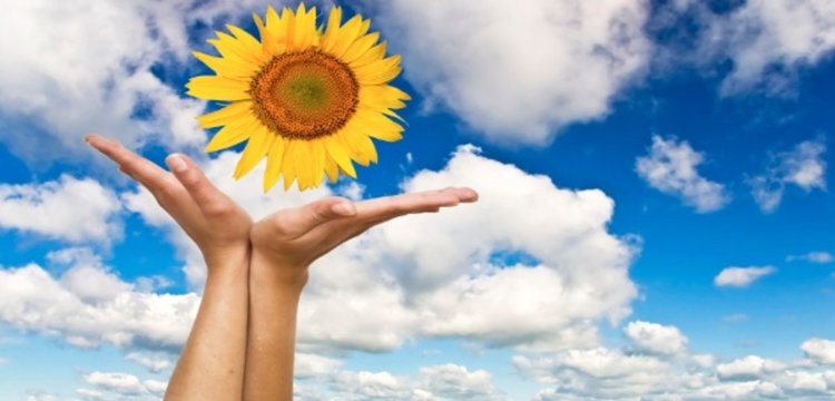 Слънчево, след обяд облачета – няма да вали 