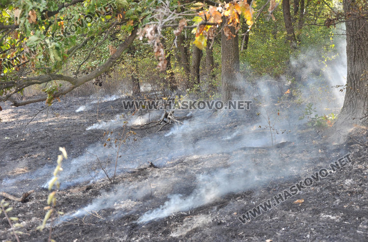 Запалиха ”Кенана” откъм Сивата вода