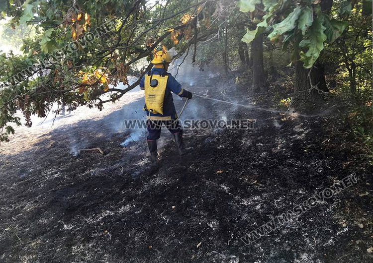 Запалиха ”Кенана” откъм Сивата вода