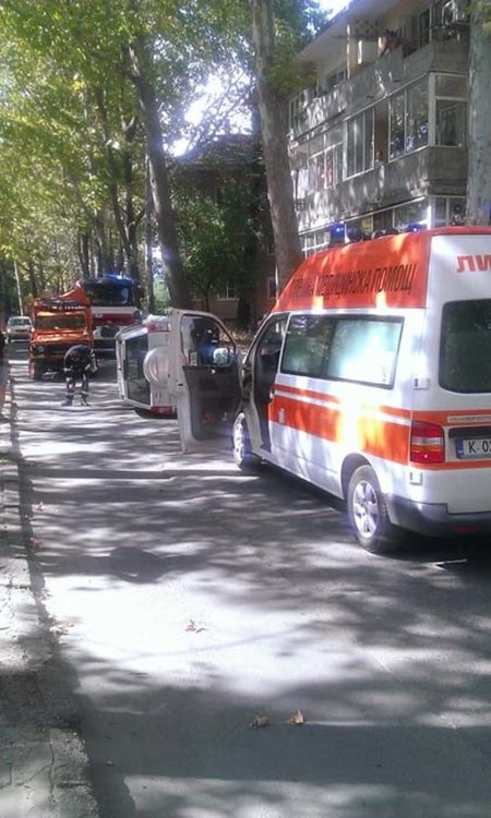 Ивайло ТОДОРОВ