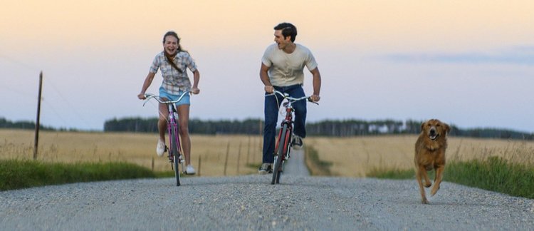 Предназначение на кучето (трейлър)