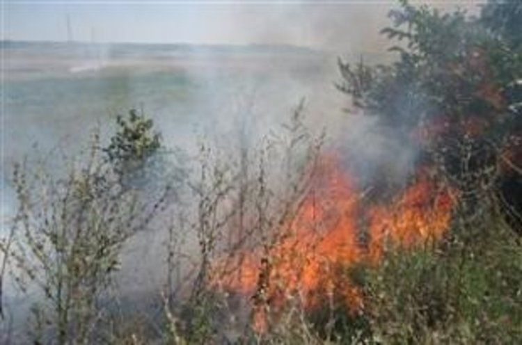 В 10 области на страната има екстремален индекс за пожароопасност