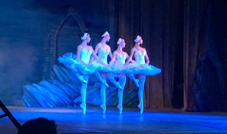 Веса Тонова в "Лебедово езеро" на хасковска сцена (видео)