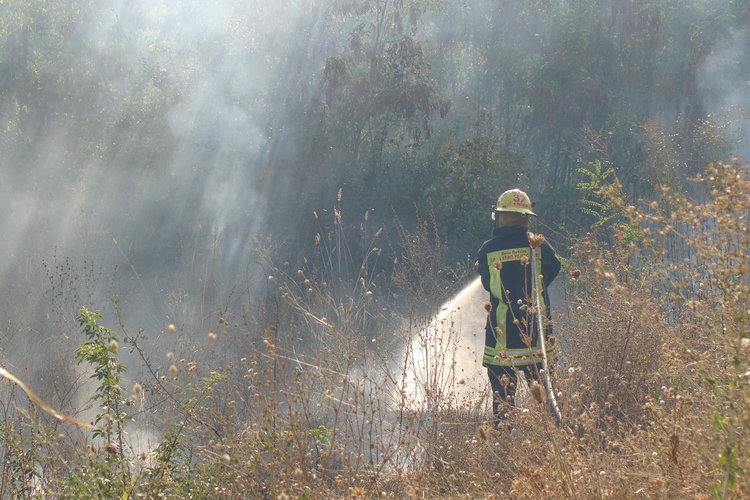 Пожари в сухи треви гасиха през последното денонощие димитровградските огнеборци