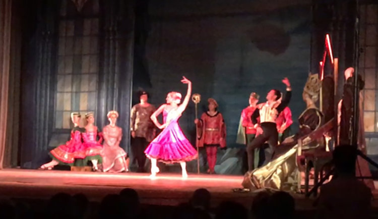 Веса Тонова в "Лебедово езеро" на хасковска сцена (видео)