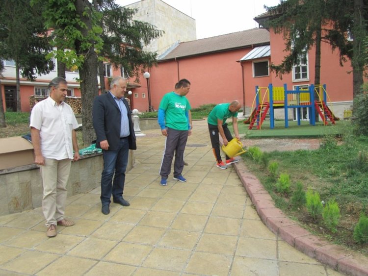 55 кипариса ще красят стария център на Смолян