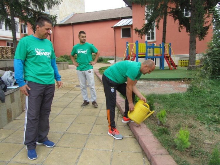 55 кипариса ще красят стария център на Смолян