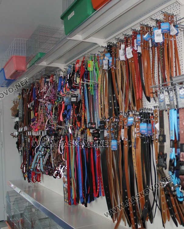  Ветеринарна клиника и зоомагазин "Аренавет" отвори врати в Димитровград