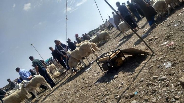 Мюсюлманите празнуват Курбан байрам 