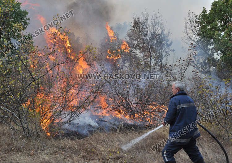 Търсят подпалвачи рибари за горския пожар край Малък извор