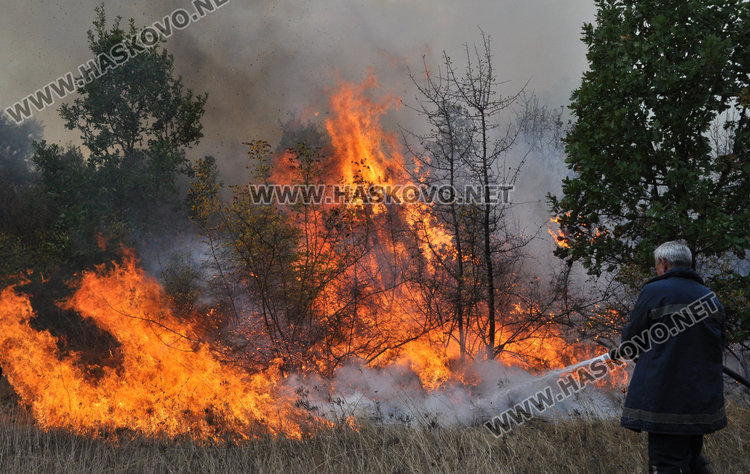 Търсят подпалвачи рибари за горския пожар край Малък извор