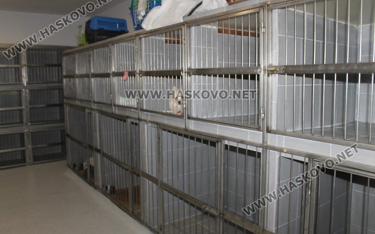  Ветеринарна клиника и зоомагазин "Аренавет" отвори врати в Димитровград