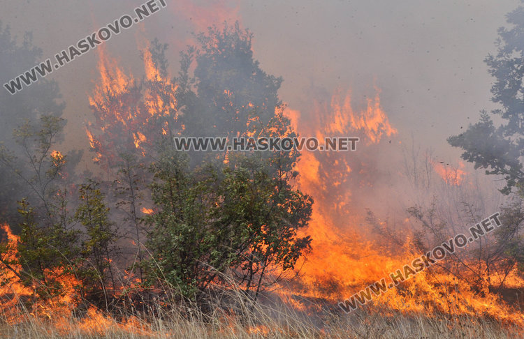 Търсят подпалвачи рибари за горския пожар край Малък извор