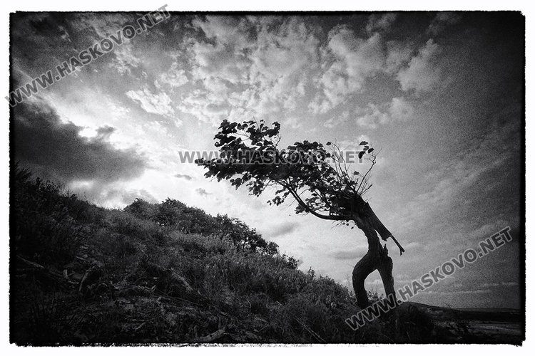 Втора награда " Крачещата жена"