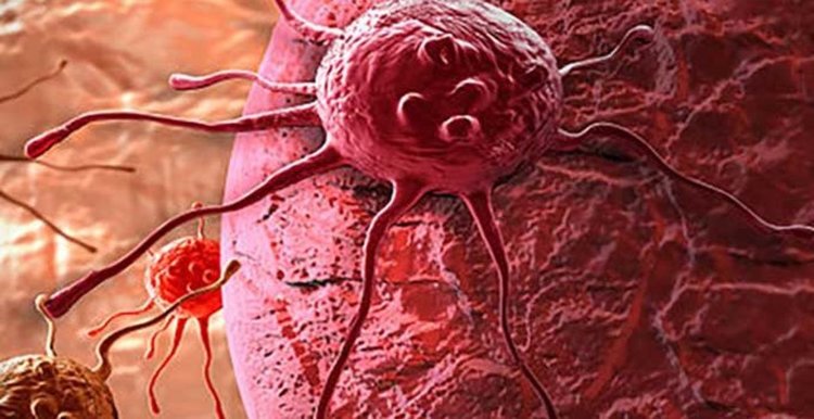 Разгадаха как древно китайско лекарство убива раковите клетки