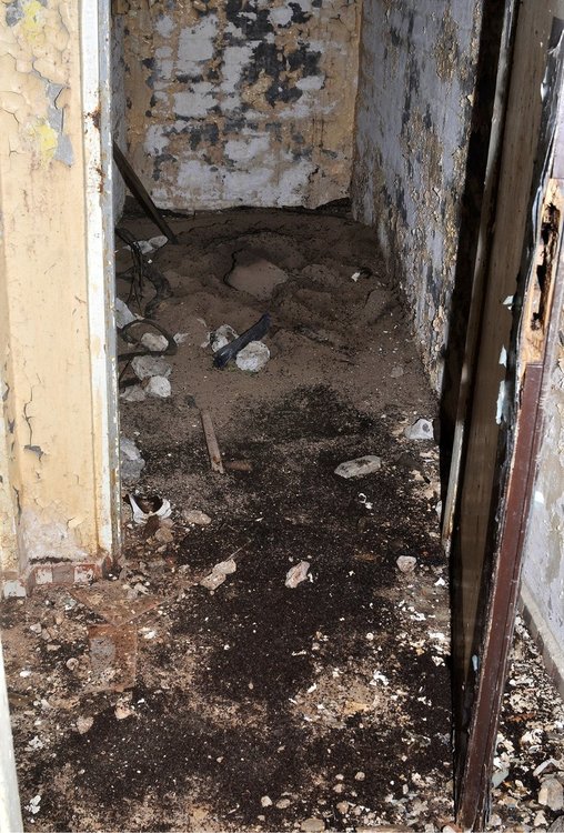 Странна мравчена колония обитава ядрен бункер 