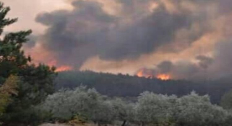 Огънят на Тасос продължава, пострадали са 5 пожарникари