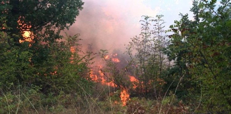 Три пожара гасиха огнеборци близо до жп линия край Димитровград