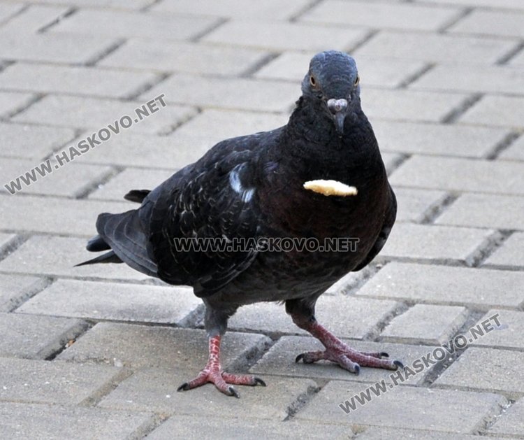 Дъжд за кратко и топло време в неделя