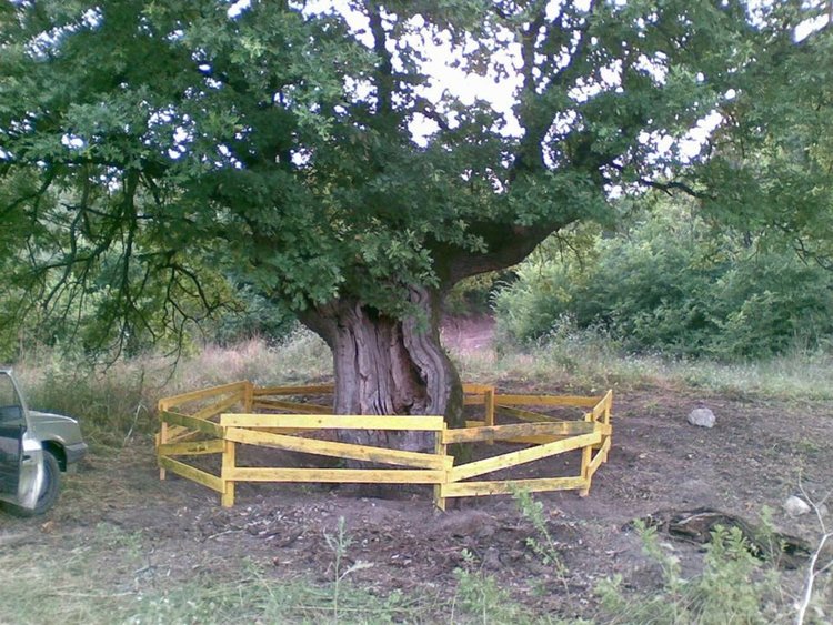 сн.Паско Тошв