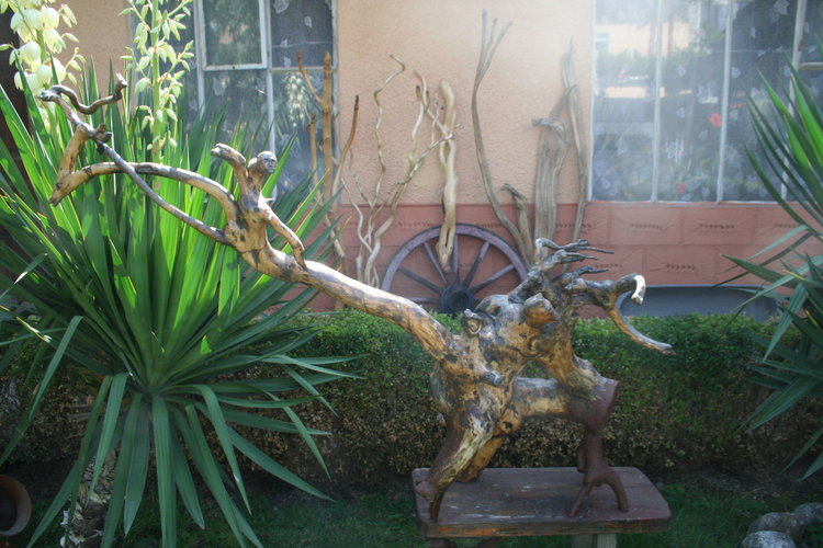 Творби от дърво и екзотични растения красят градината на семейство Колеви