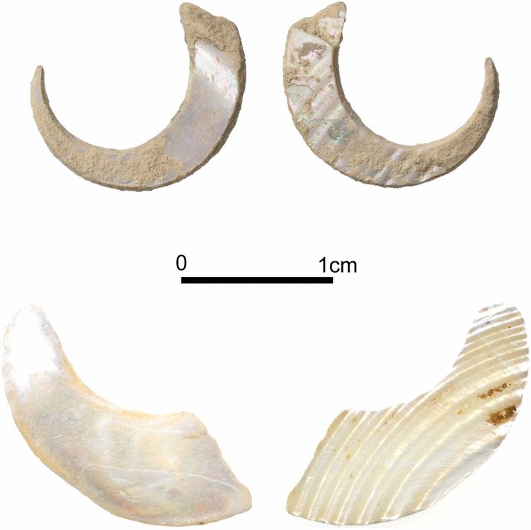 Сн.: PNAS. Долу - рибарската кукичка, която останала недовършена