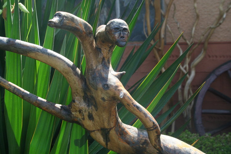 Творби от дърво и екзотични растения красят градината на семейство Колеви