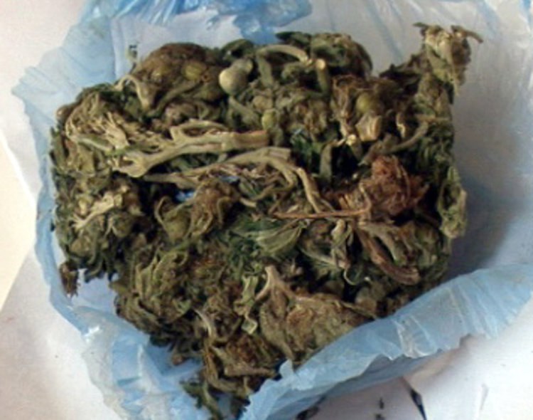 Спипаха младеж с марихуана