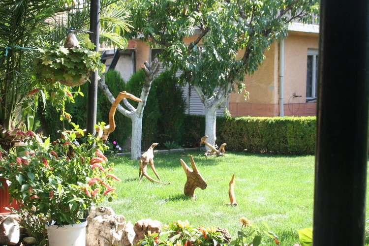 Творби от дърво и екзотични растения красят градината на семейство Колеви