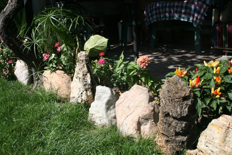 Творби от дърво и екзотични растения красят градината на семейство Колеви