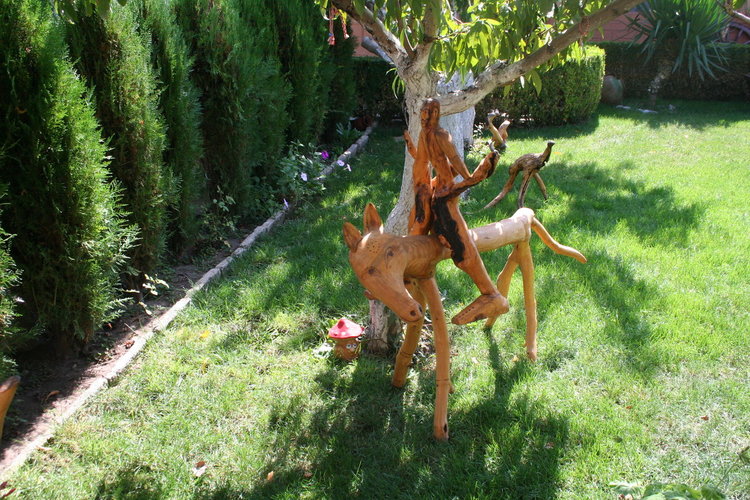 Творби от дърво и екзотични растения красят градината на семейство Колеви