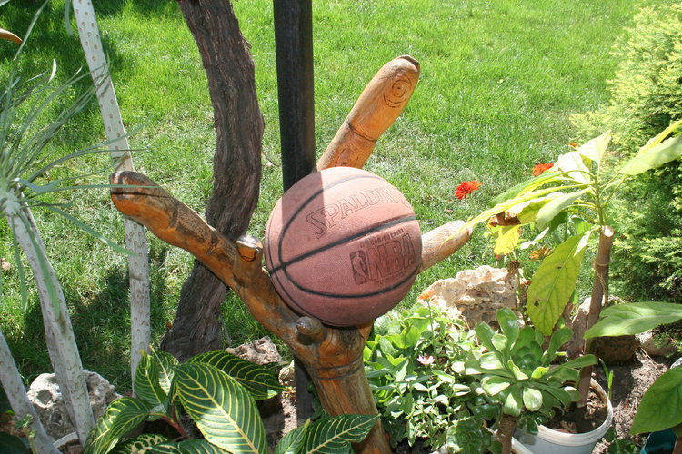 Творби от дърво и екзотични растения красят градината на семейство Колеви