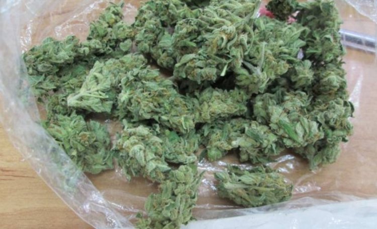 21 годишен варненец е задържан в Смолян с над 8 грама марихуана